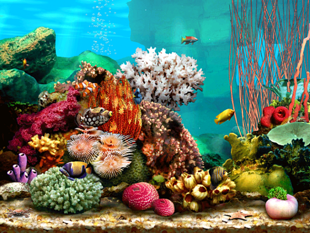 Скрийнсейвър на Living Marine Aquarium 2