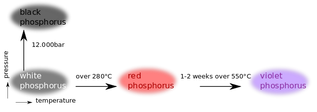 Фосфор-Allotropes.svg