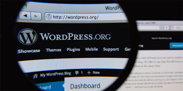 WordPress-рамка-какво-са-те