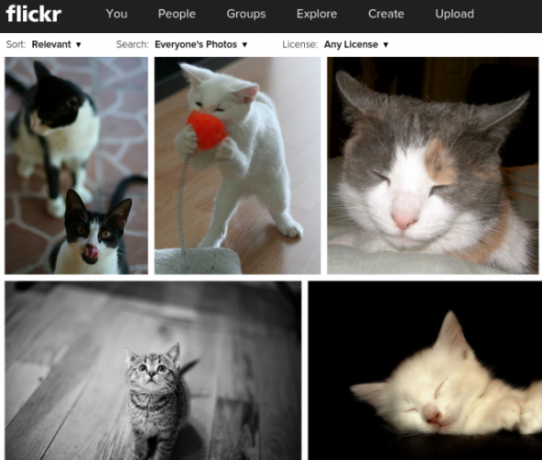 Flickr-деца-котенца