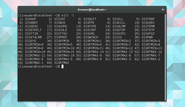 LinuxTaskManager-убийство