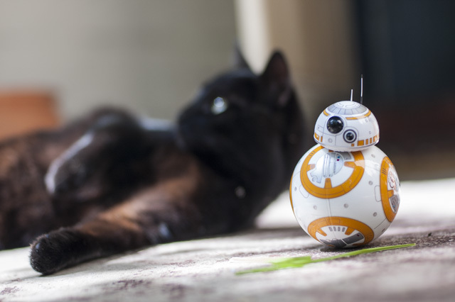 Feline the Force: Sphero Star Wars BB-8 Преглед и отдаване DSC 0033