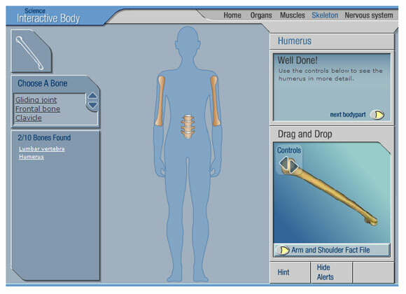 безплатна интерактивна анатомия