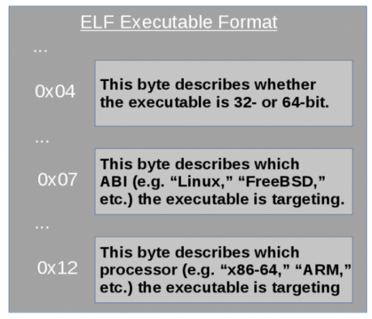 софтуер os съвместимост elf хедър