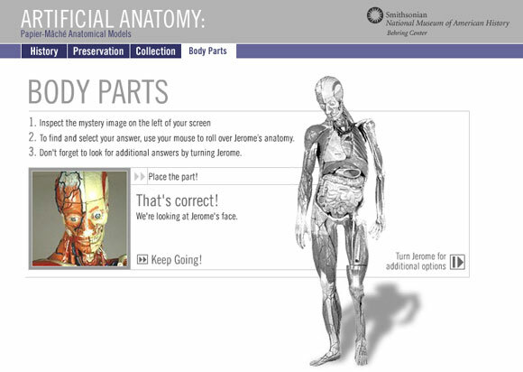 интерактивна анатомия