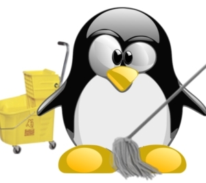 избършете и почистете Linux