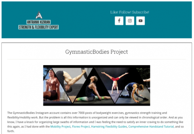 Проектът GymnasticBodies е добре организирана колекция от най-добрите публикации от акаунта на GymnasticBodies в Instagram, за да се улесни разглеждането