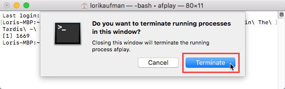 Кликнете върху Прекратяване за процес в прозорец на терминала на Mac