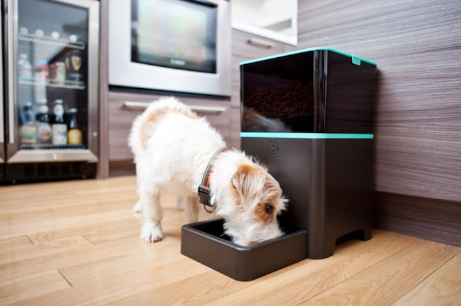 Smart Feeder PetNet