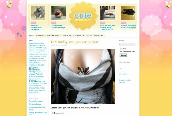 Шестте най-сладки сайта с глупави домашни снимки и LOL домашни любимци