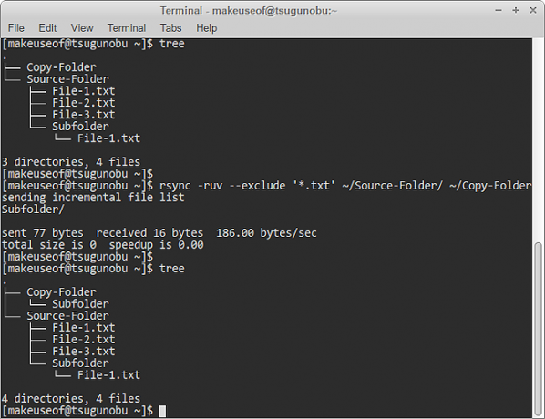 изключване на модел rsync